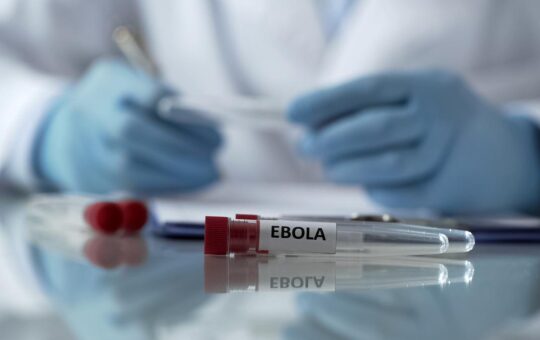 Centre closely monitoring Ebola situation in Central Africa: Health Ministry