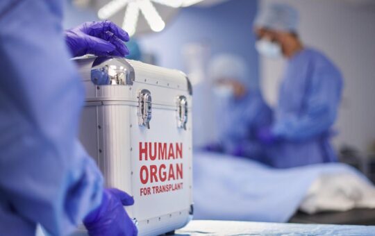 Maternity need not be proved through DNA test before donating kidney to child: Madras High Court