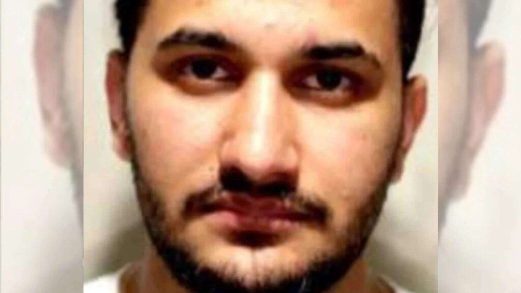 Truck driver Baljeet Singh pleads guilty to causing death of two, was playing mobile game