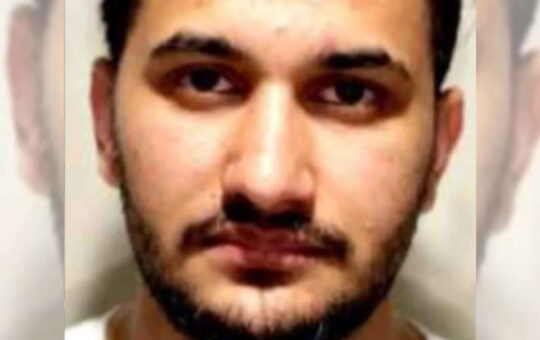 Truck driver Baljeet Singh pleads guilty to causing death of two, was playing mobile game