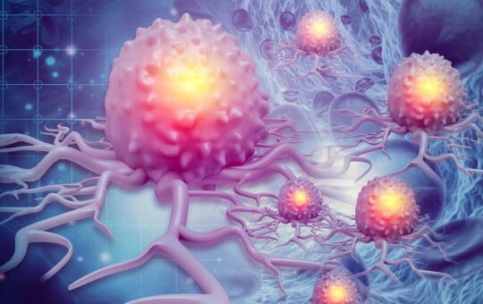 World Blood Cancer Day: Experts highlight India’s donor gap, call for strengthening stem cell donor registry