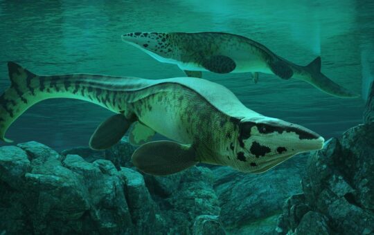 Fearsome dinosaur-era marine reptile was T. rex of the sea