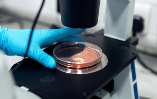 Science Snapshots: May 24, 2026