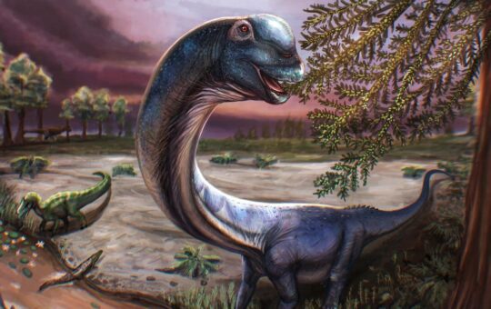 Scientists dig up Southeast Asia's largest dinosaur in Thailand