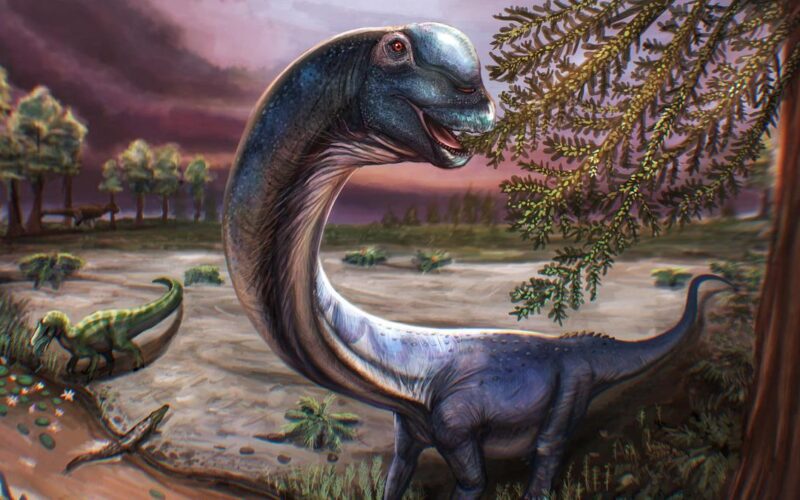 Scientists dig up Southeast Asia's largest dinosaur in Thailand