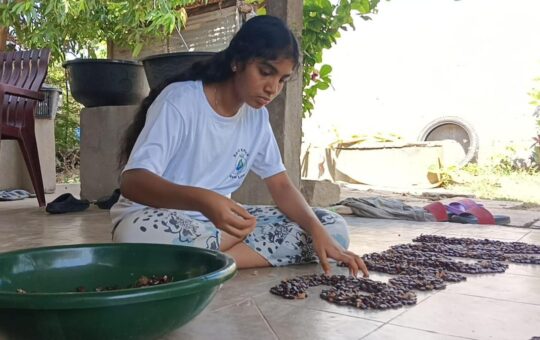 Young environmental enthusiast transforms floor into canvas to spread message of conservation of traditional seeds
