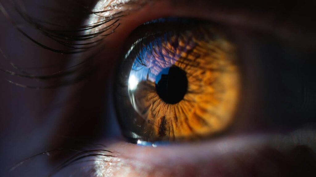 Using ultrasound to restore vision