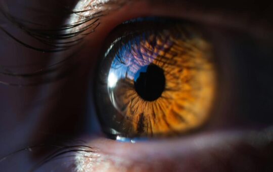 Using ultrasound to restore vision