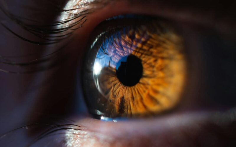 Using ultrasound to restore vision