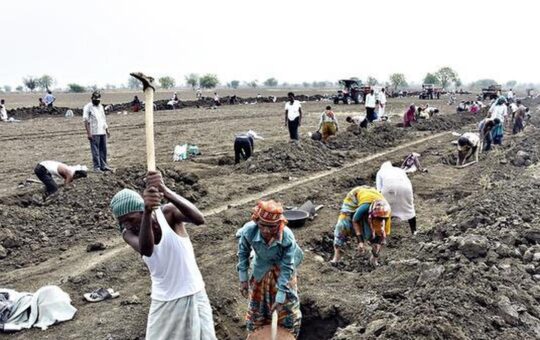 VB-G RAM G to come into force on July 1: govt.
