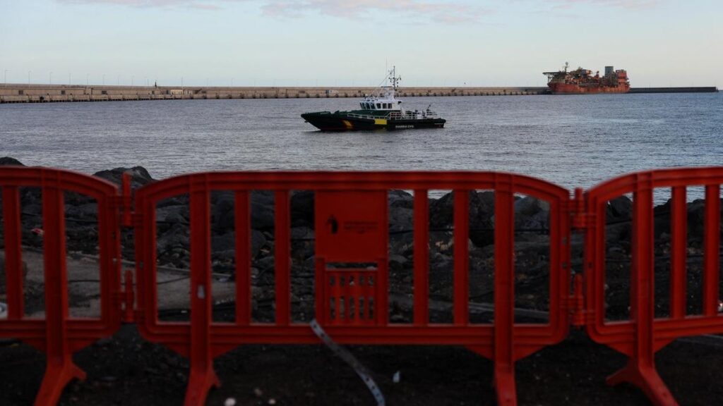 Americans from virus-hit ship will not necessarily be quarantined: official