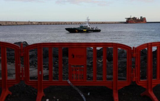 Americans from virus-hit ship will not necessarily be quarantined: official
