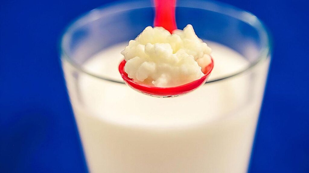 Probiotics and heart health: hype or real benefit?