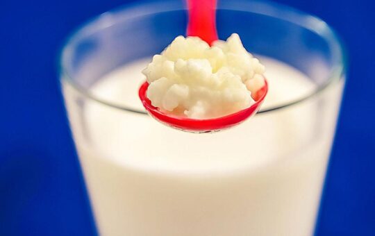 Probiotics and heart health: hype or real benefit?